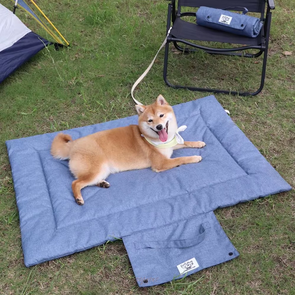 tapis-isolant-double-face-chien