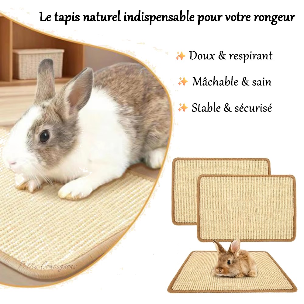 Tapis naturel d\'été