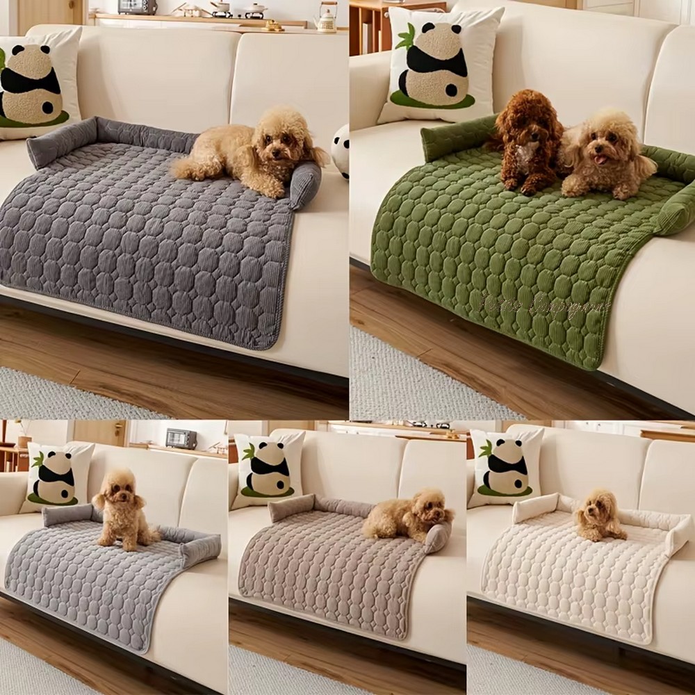 tapis-chien-protection-canape