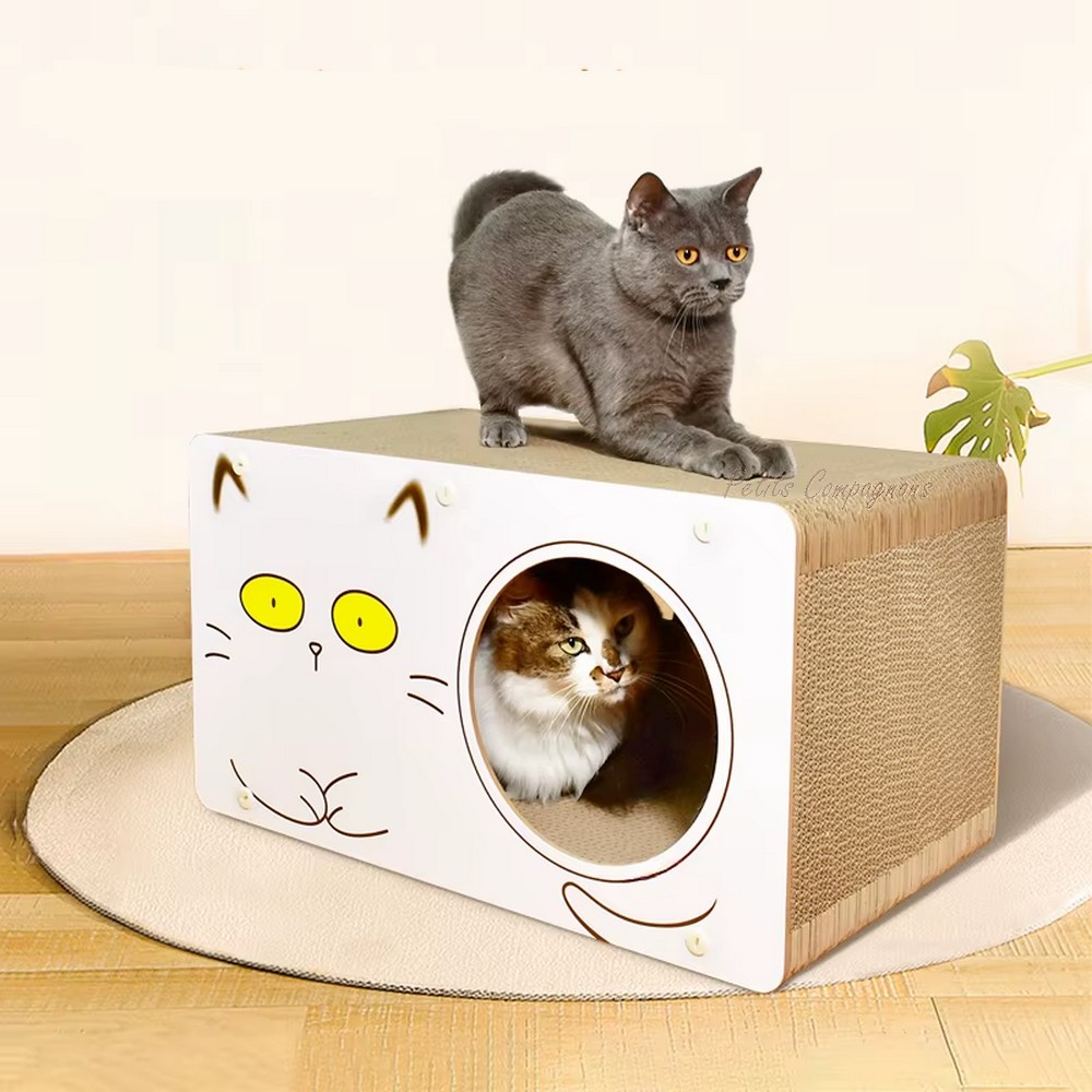 couchage-chat-griffoir