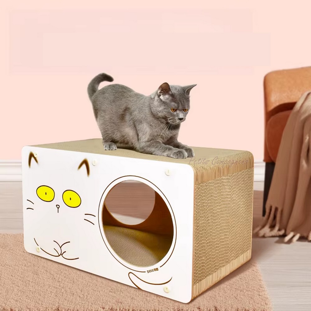 lit-griffoir-chat-design