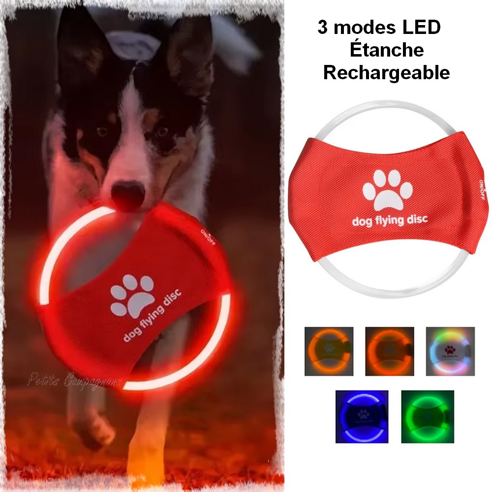 Frisbee lumineux