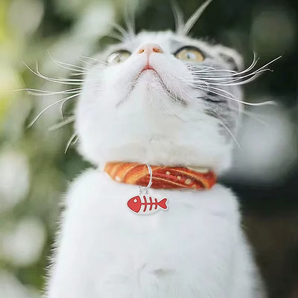 medaille-chaton-design