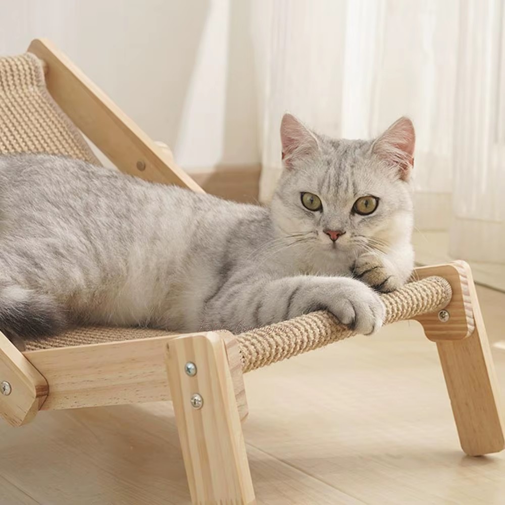 chaise-longue-chat