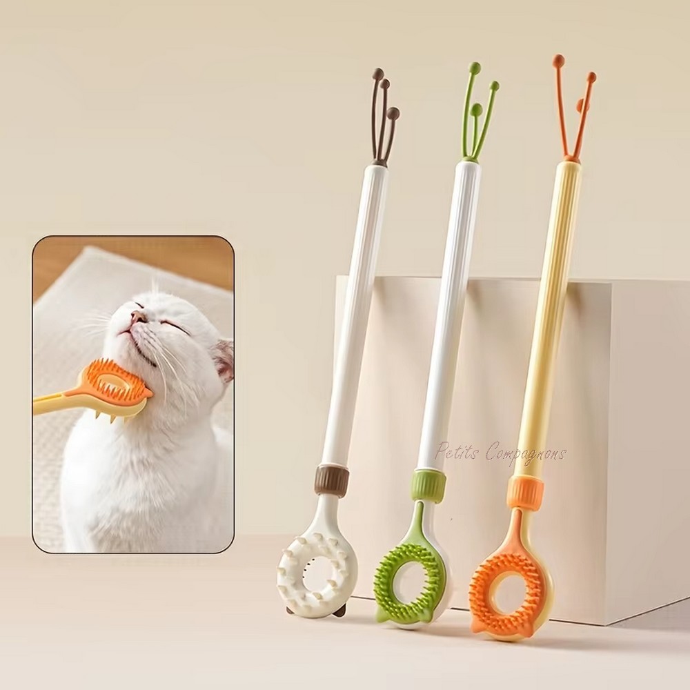 grattoir-chat-interactif