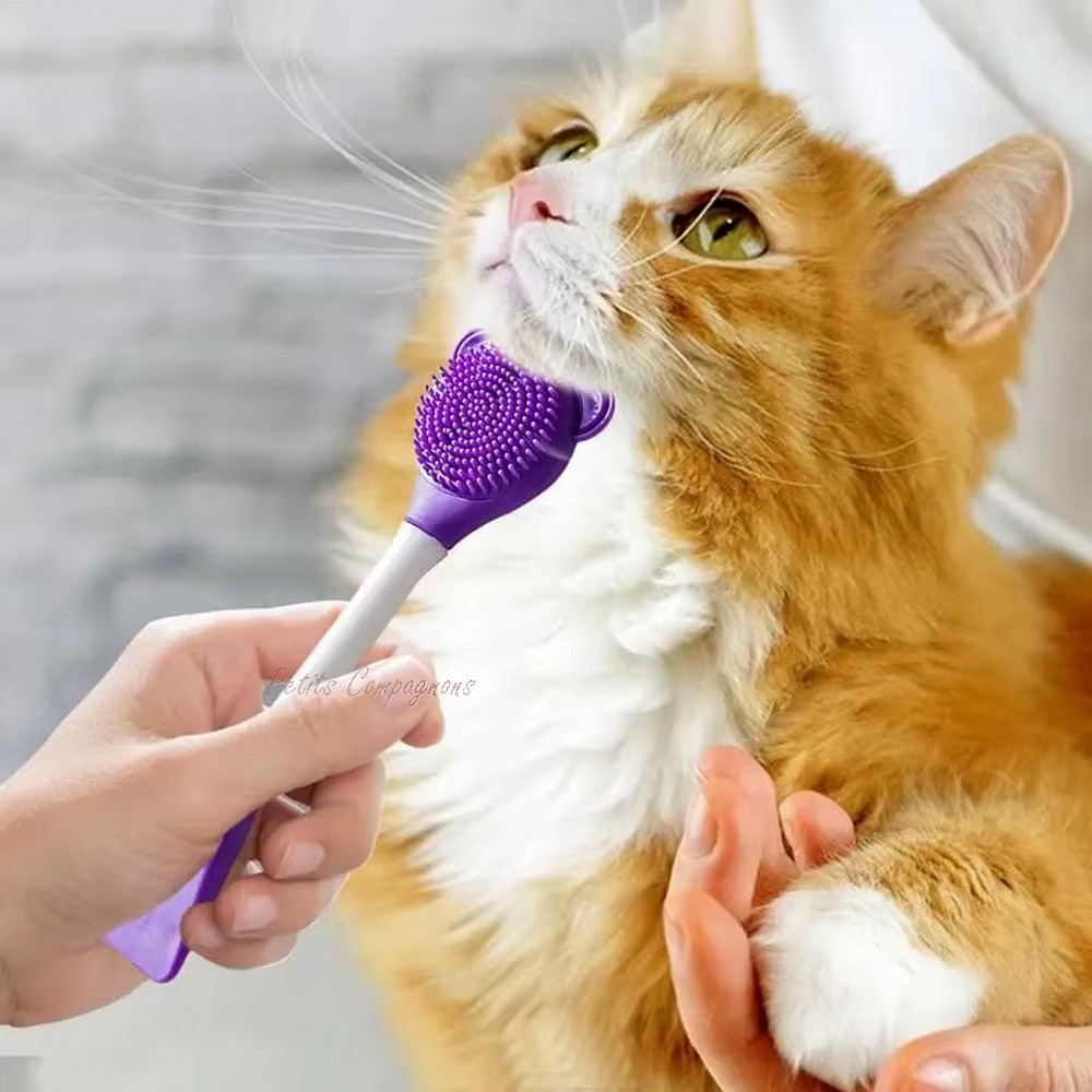 brosse-chat-anti-point-noir