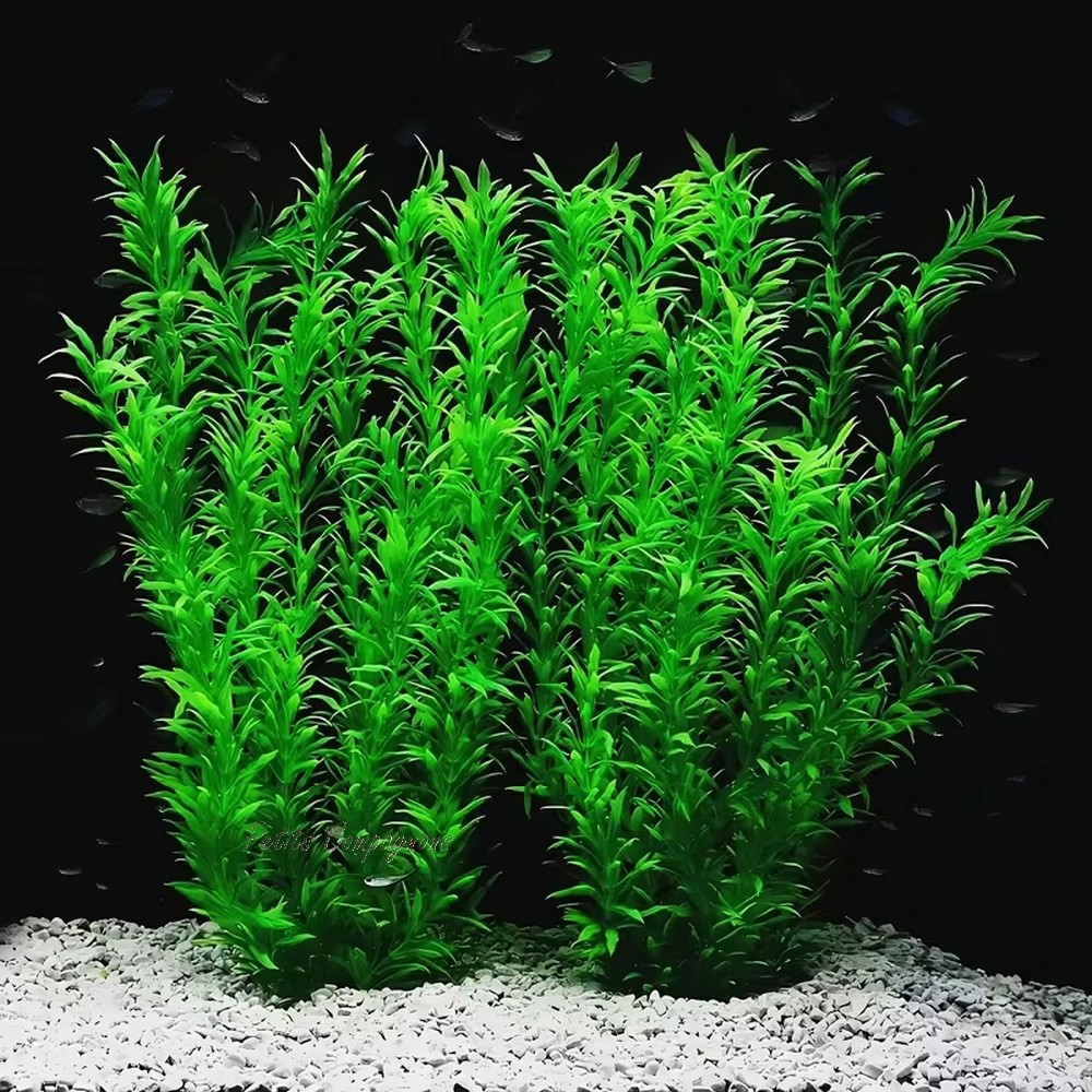 plante-artificielle-aquarium