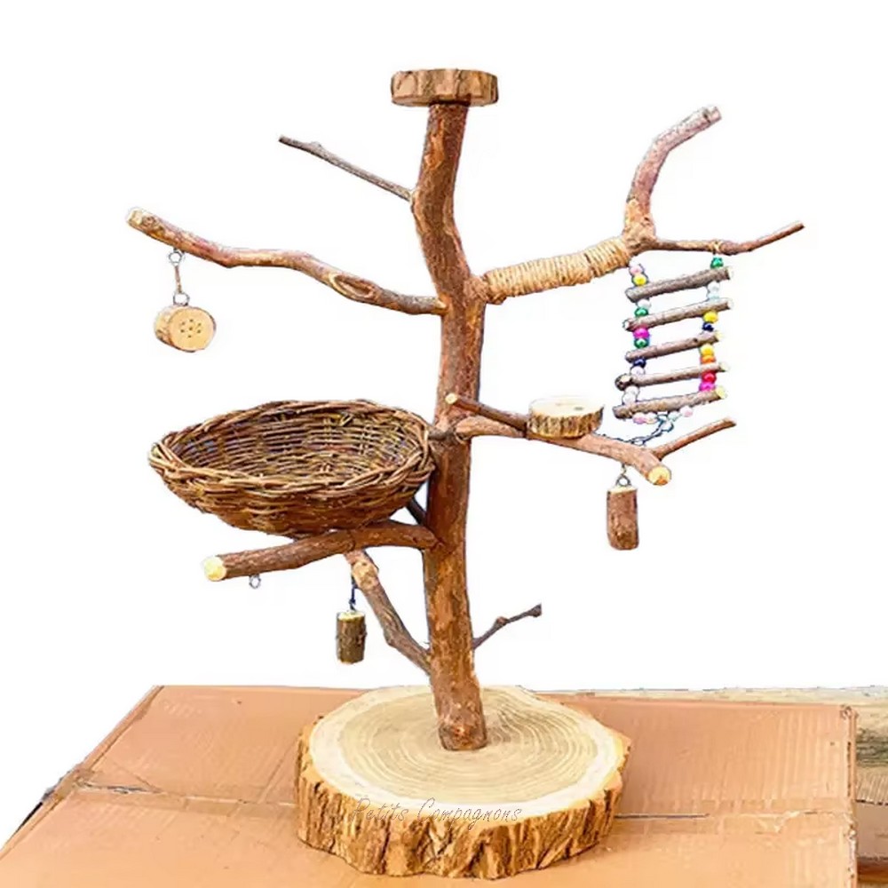 arbre-oiseau-bois-naturel