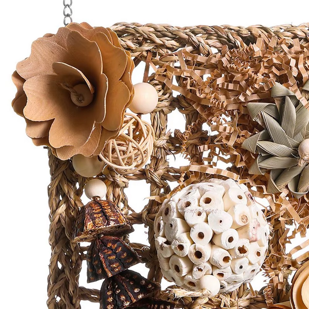 oiseau-sur-mur-jeu