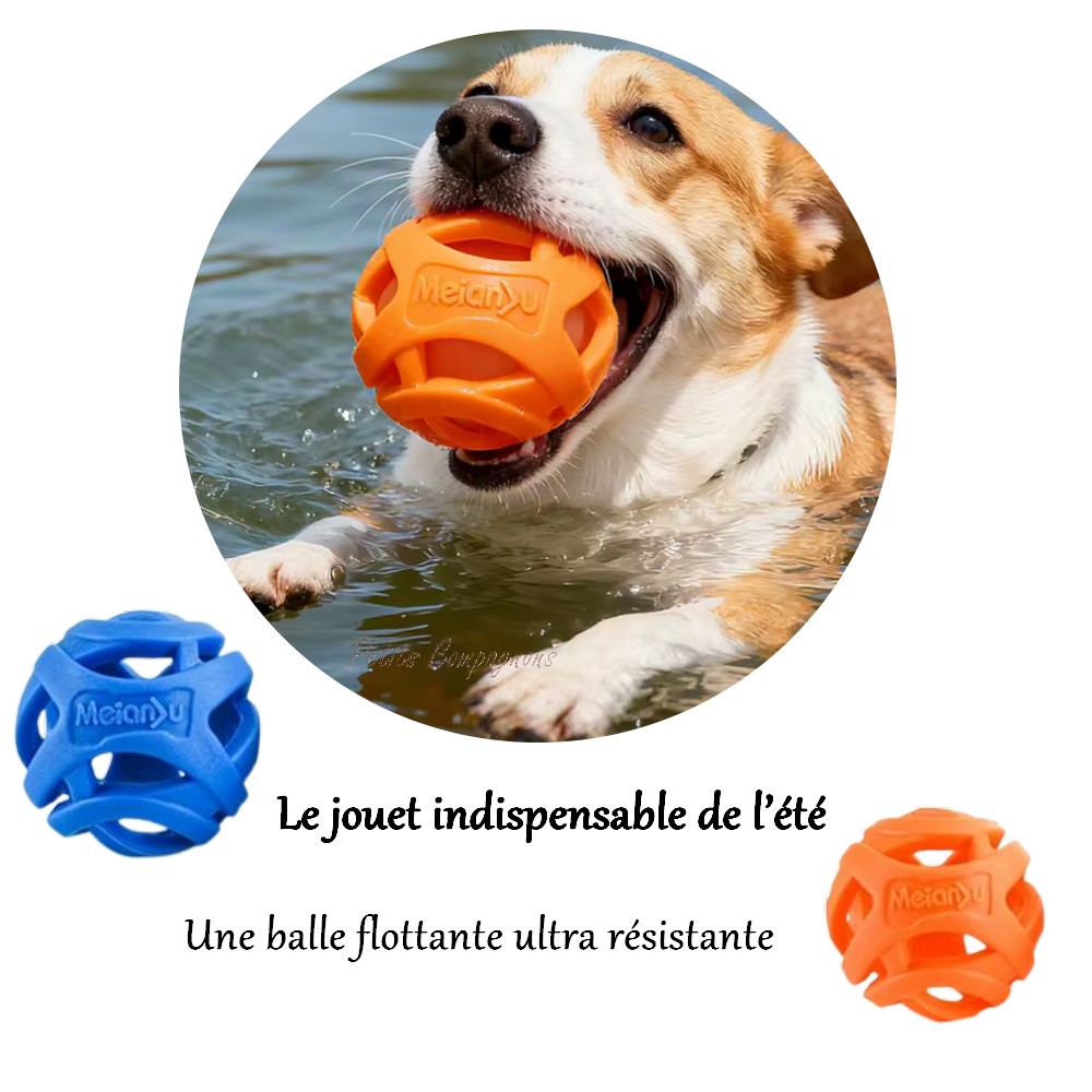 balle-flottante-aqua-dog