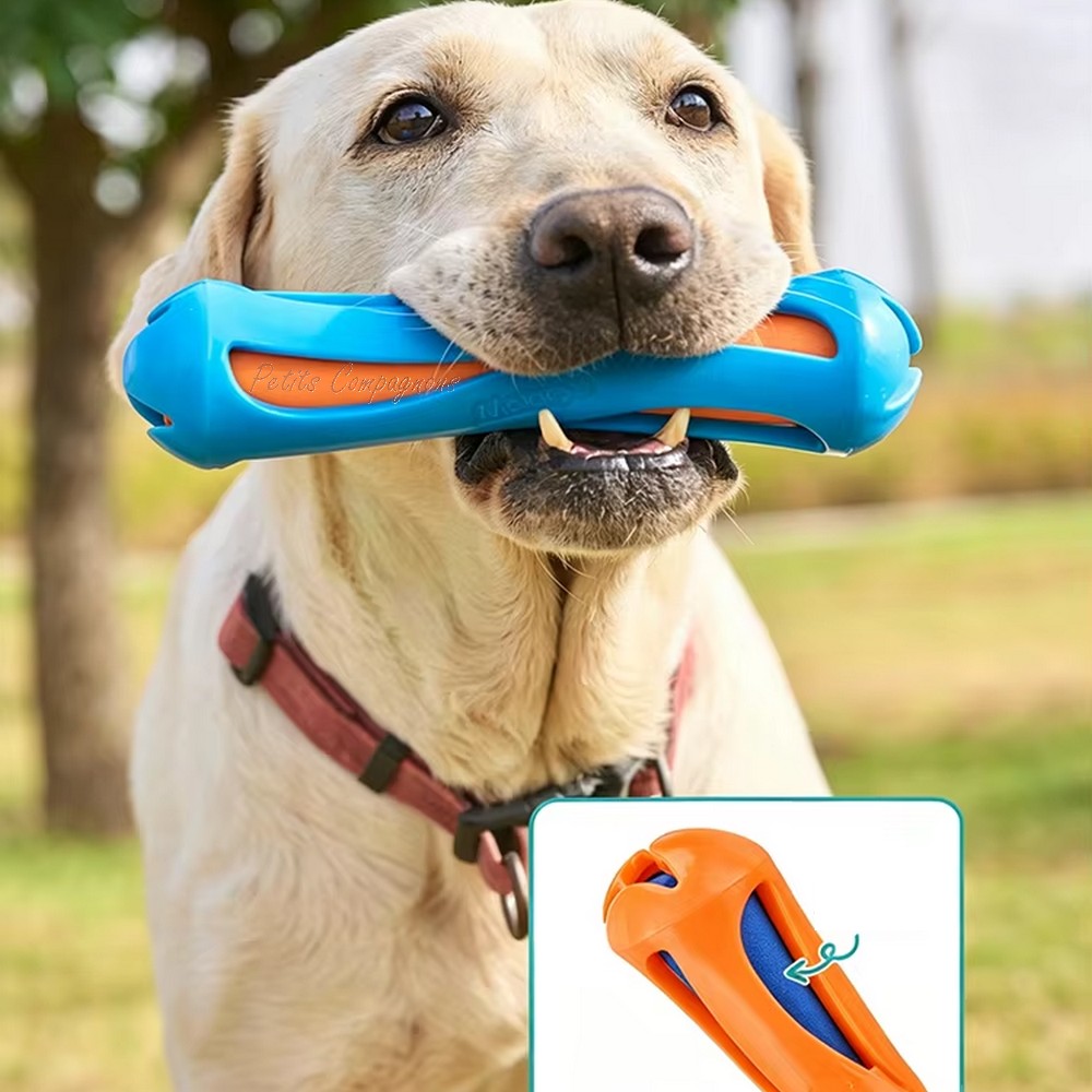 jouet-chien-piscine