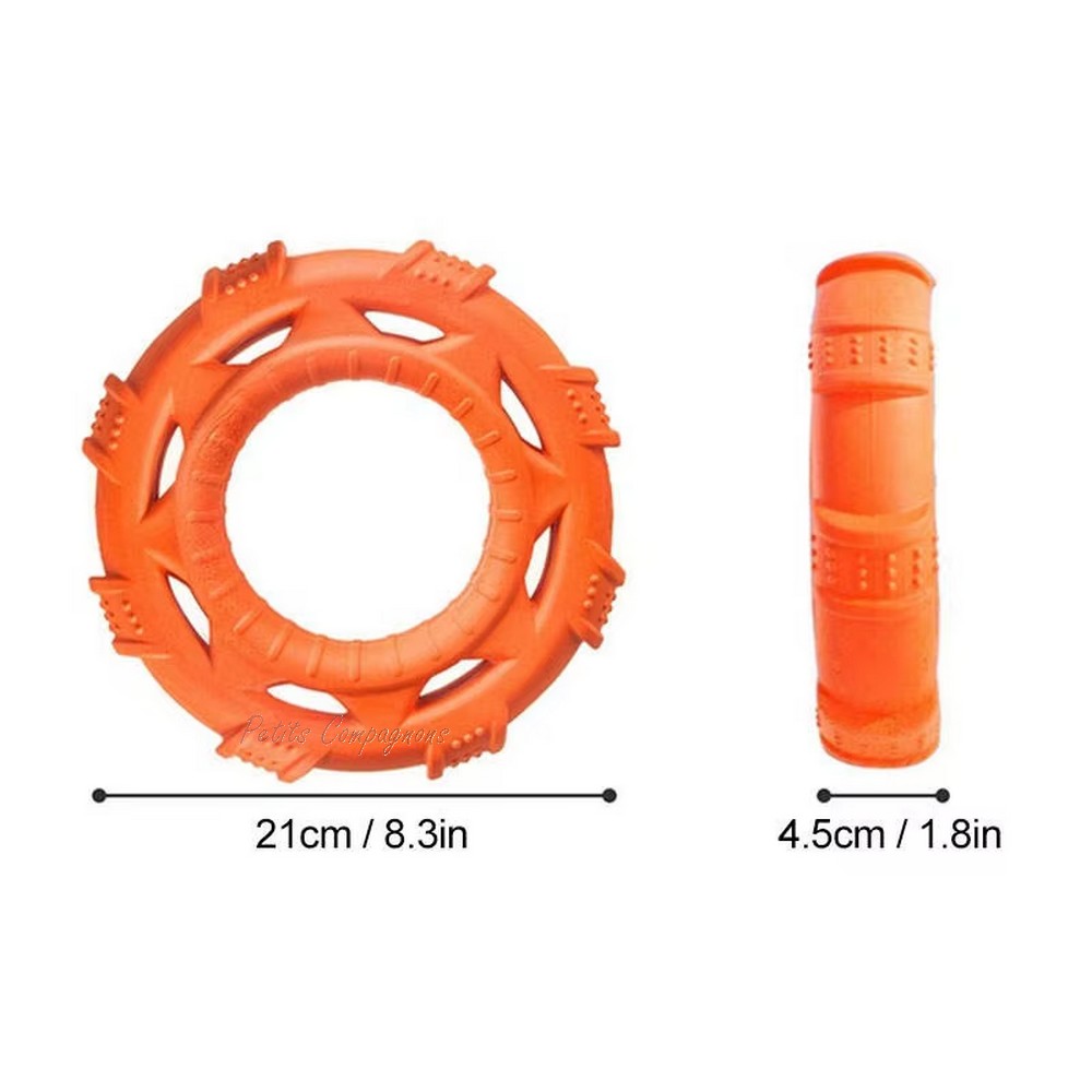 frisbee-flottant-chien-eau