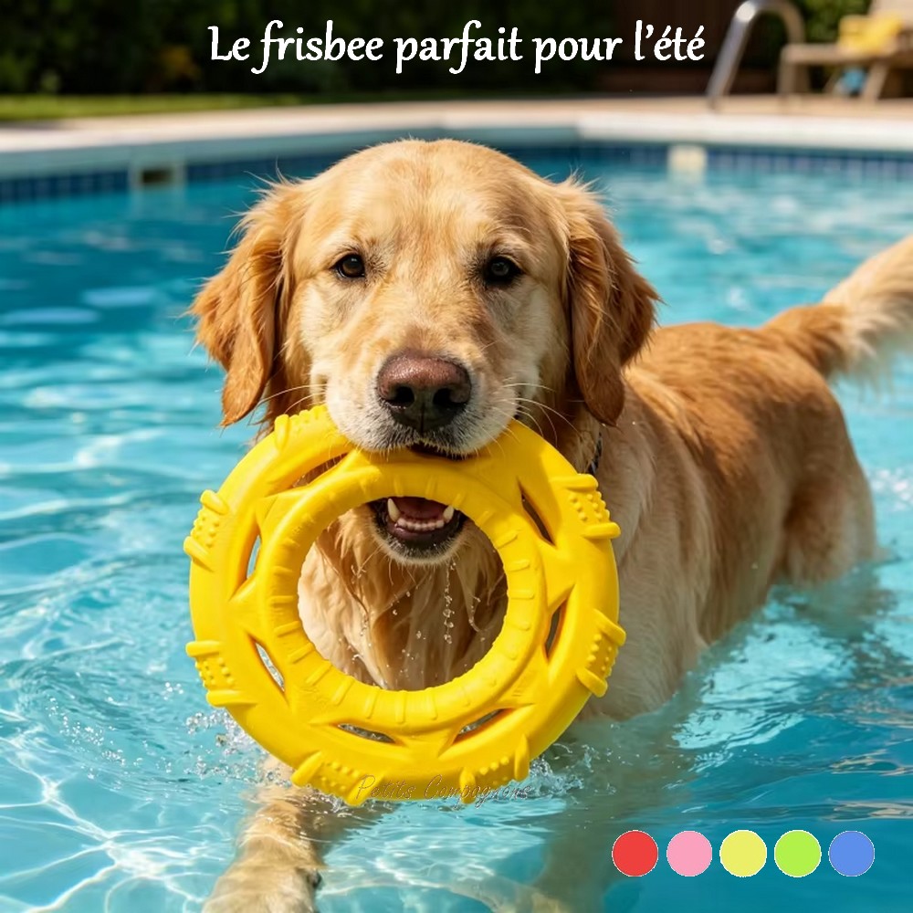 Frisbee flottant