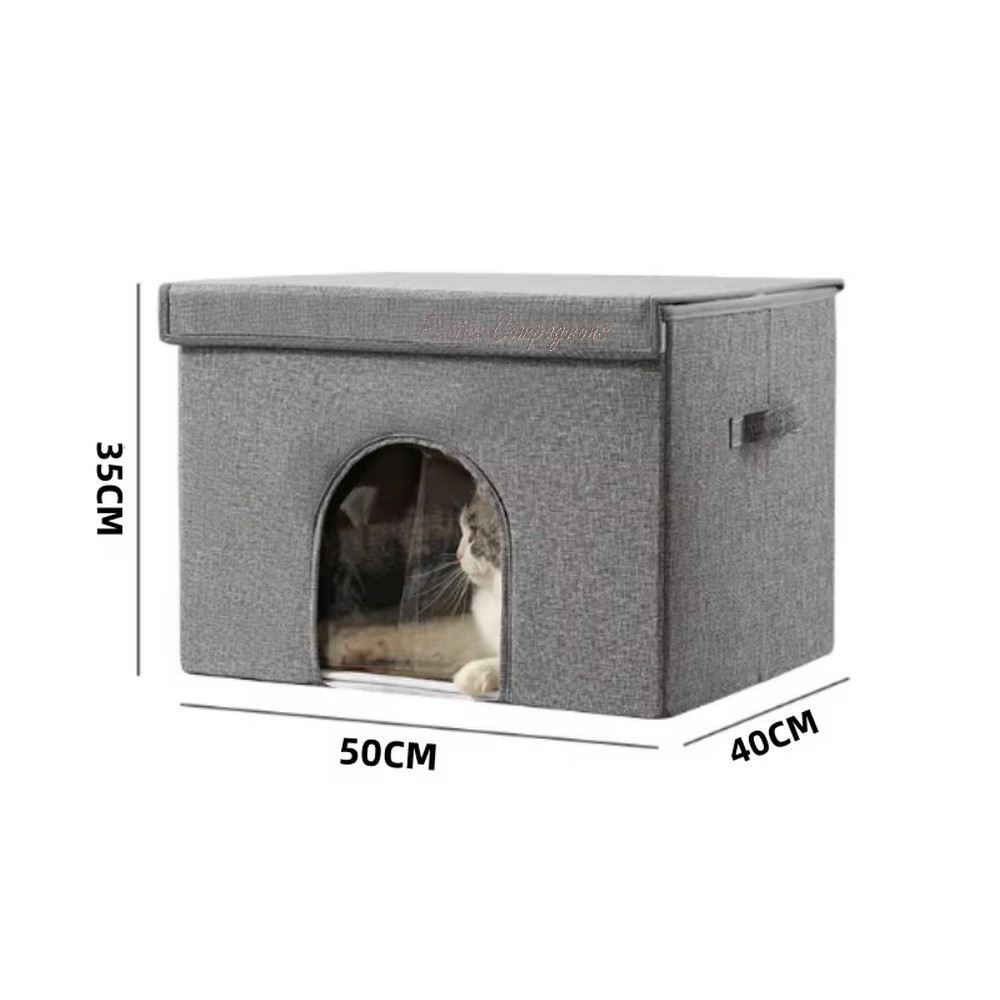 chien-chat-dans-niche-fraiche