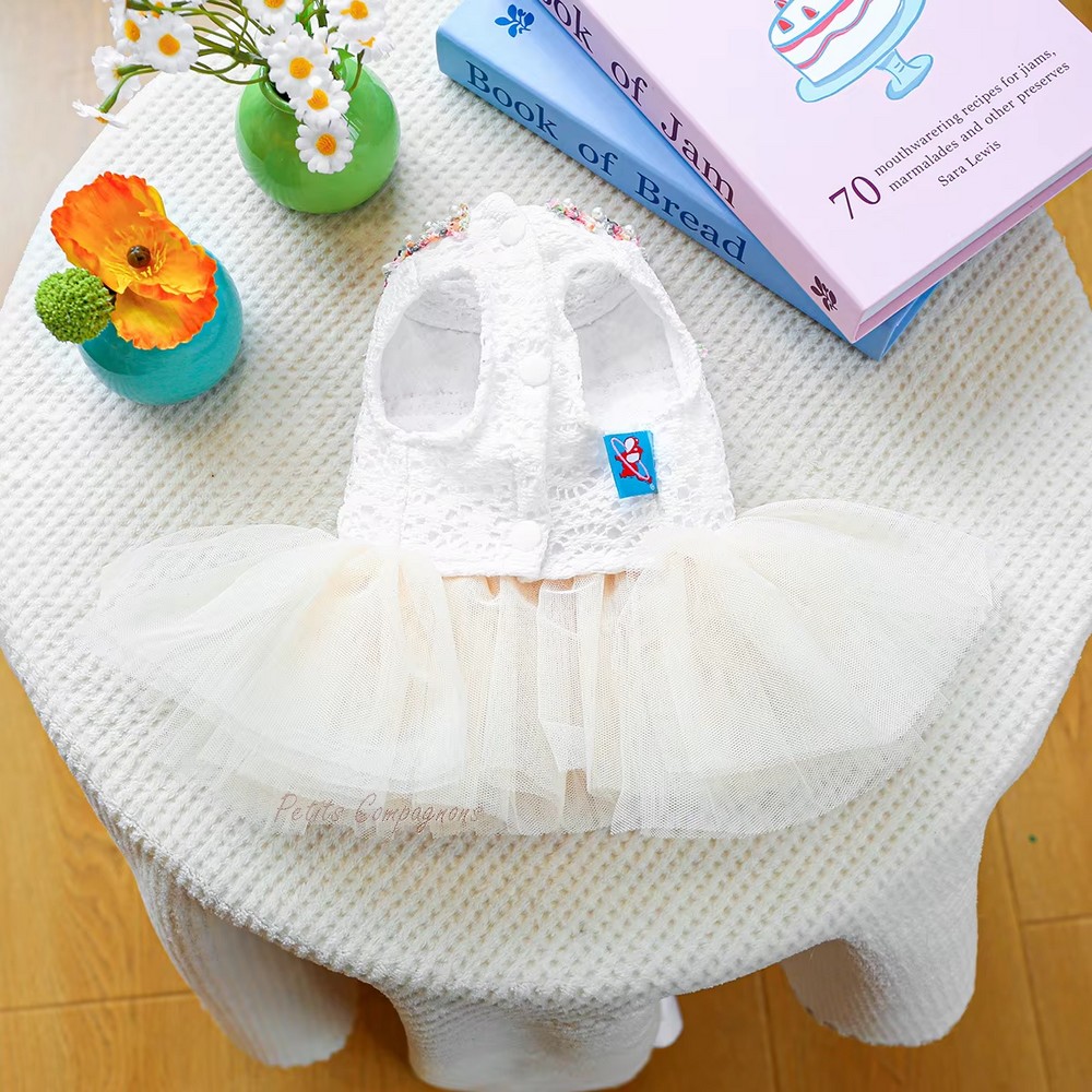 chien-chat-robe-princesse