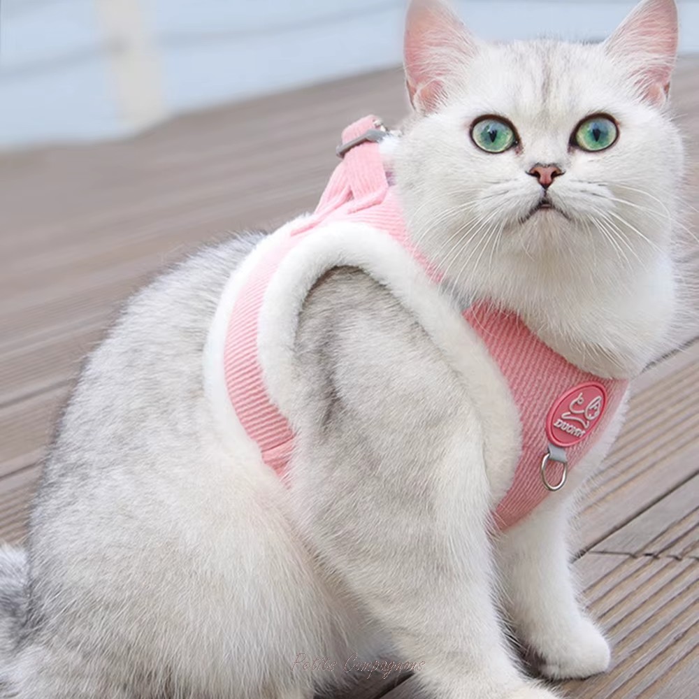 chien-chat-harnais-fourrure
