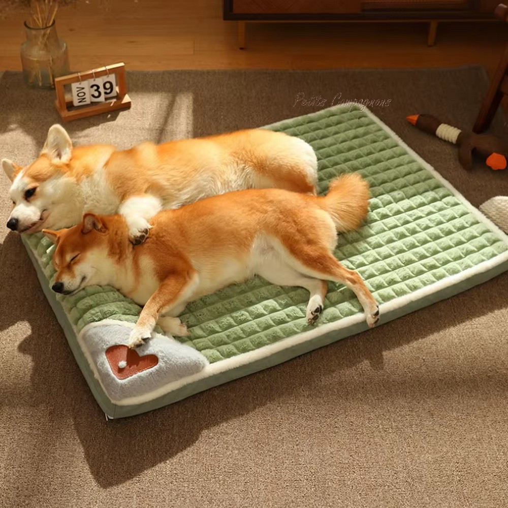 couchage-doux-animal