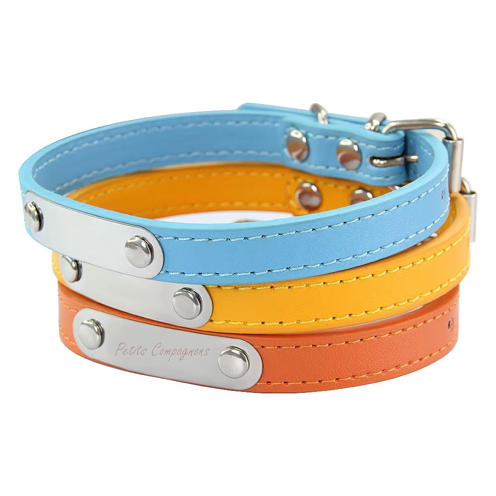 collier-identification-chien-chat