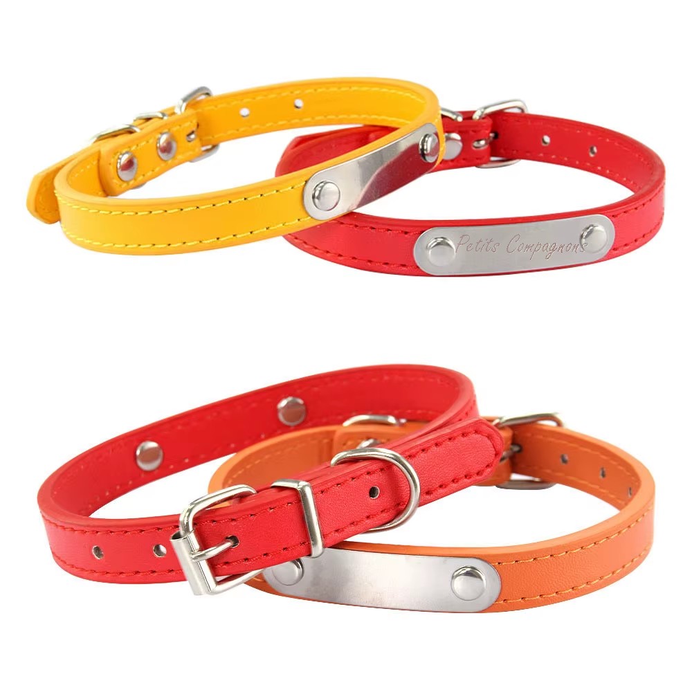 collier-cuir-chien-couleurs