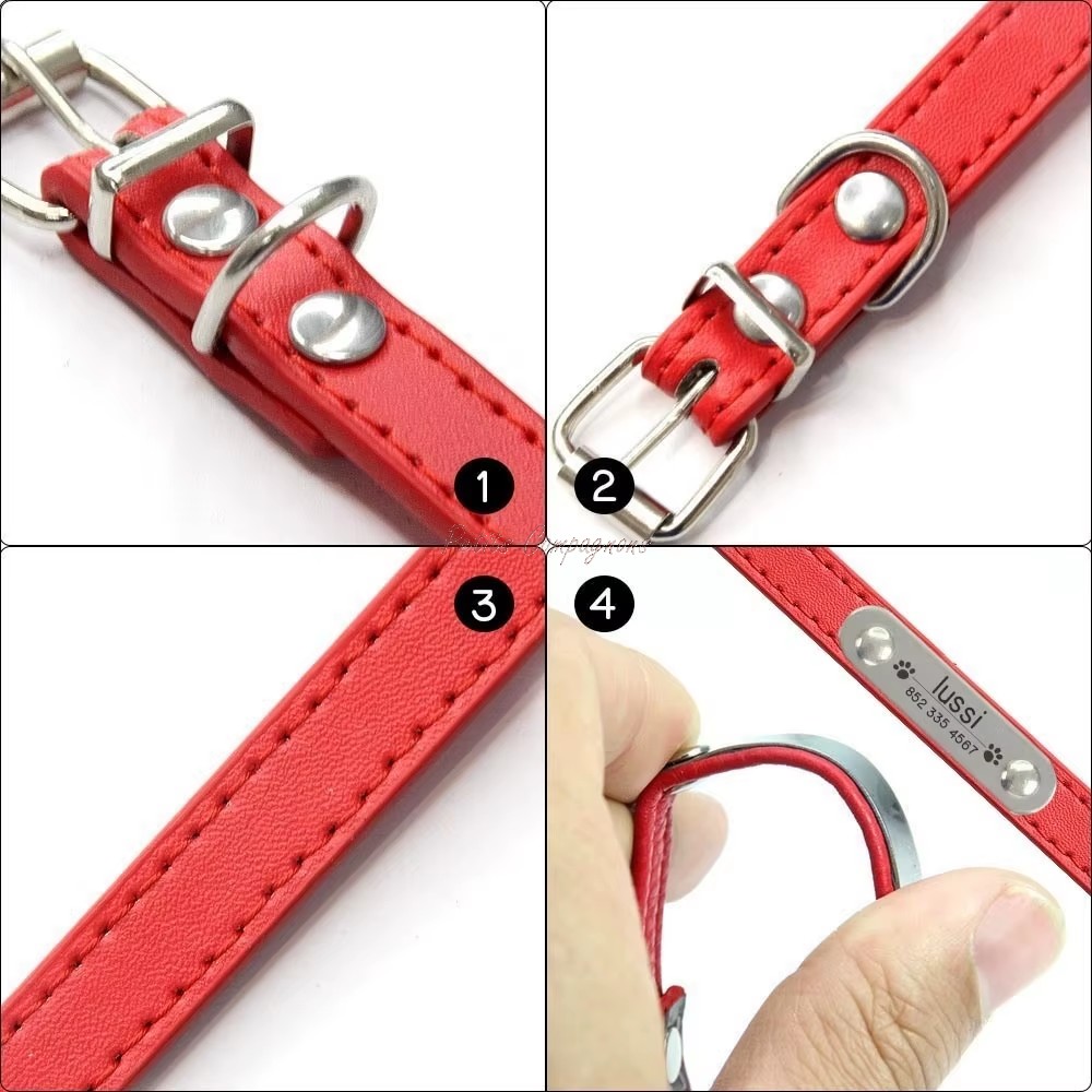 collier-chien-personnalise-cuir