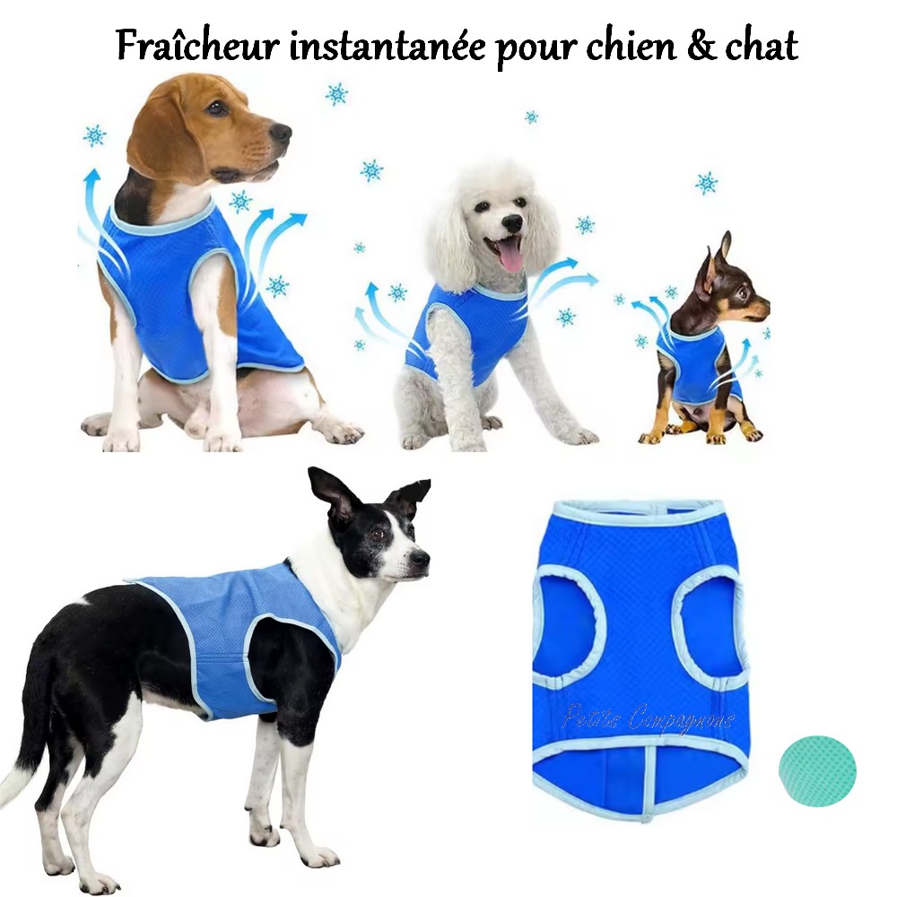 veste-rafraichissante-chien-chat