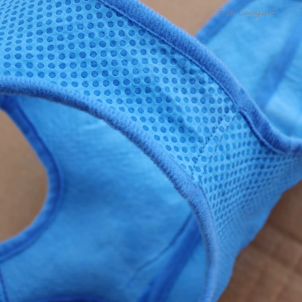 gilet-rafraichissant-chien-ete