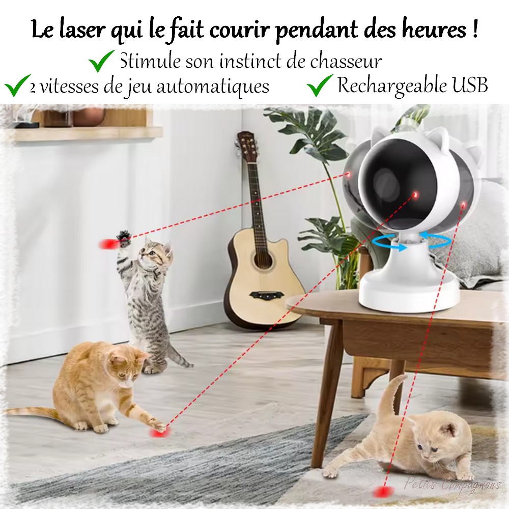 Laser Kitty multi-support