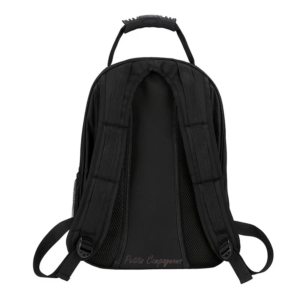 sac-bulle-panoramique-pour-chat