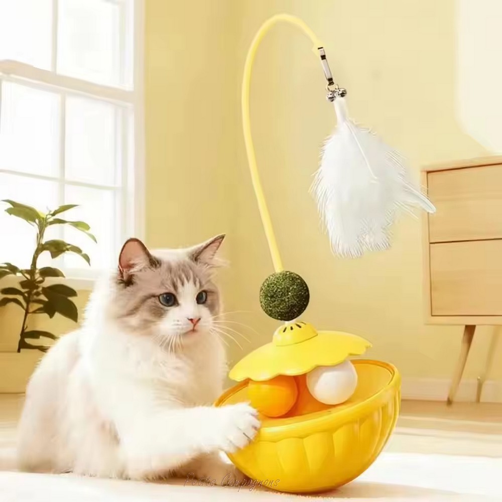 jouet-avec-plume-chat
