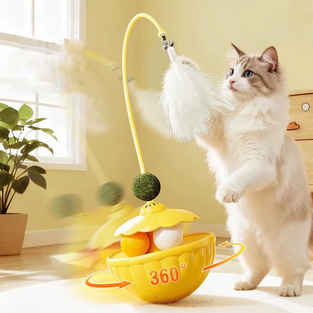 balle-interactive-chat