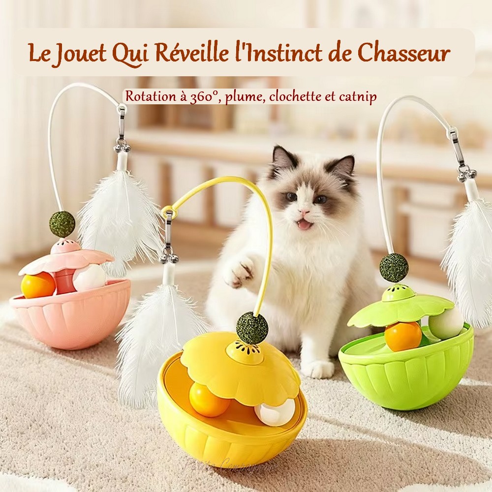 Culbuto balles et plume