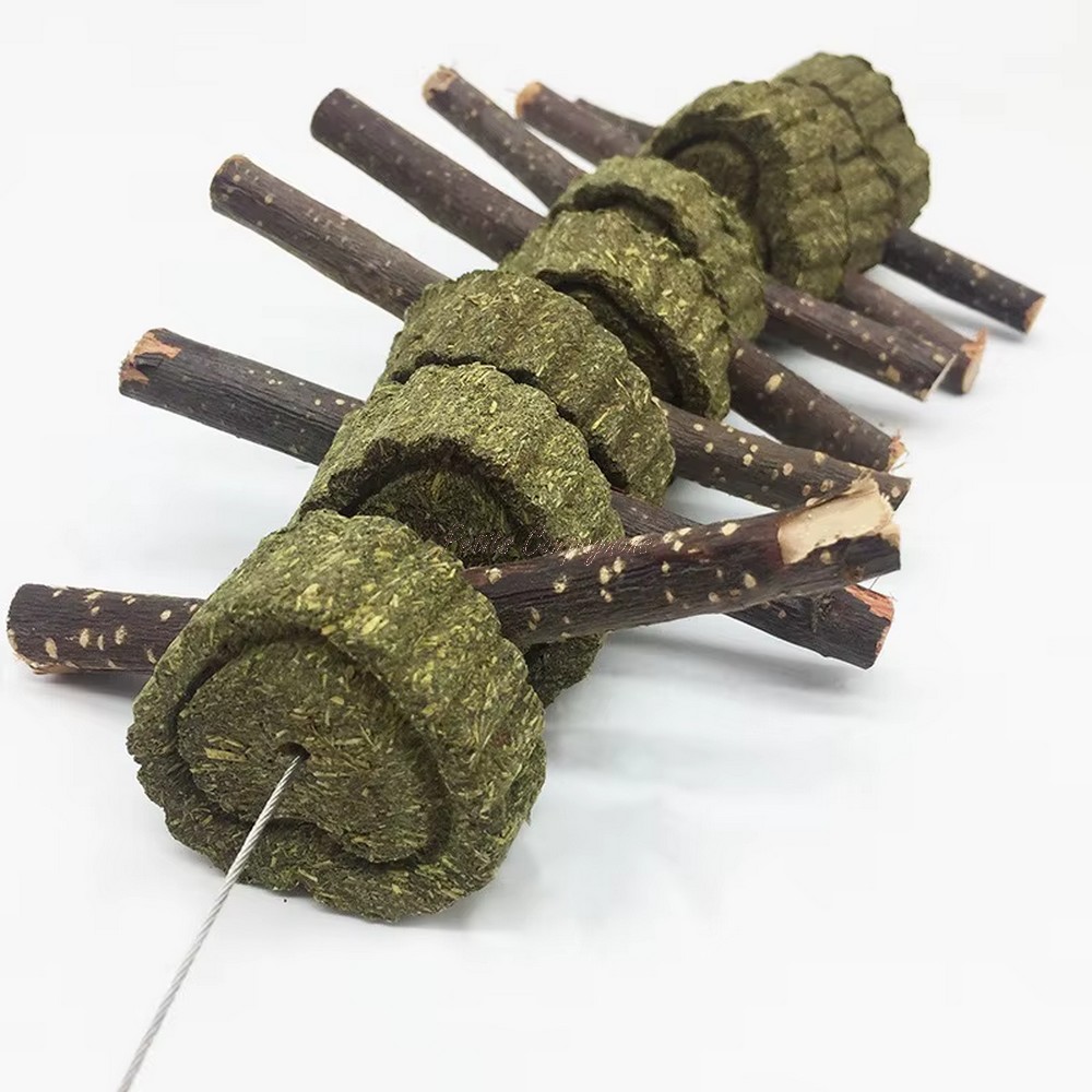 friandise-naturelle-rongeur