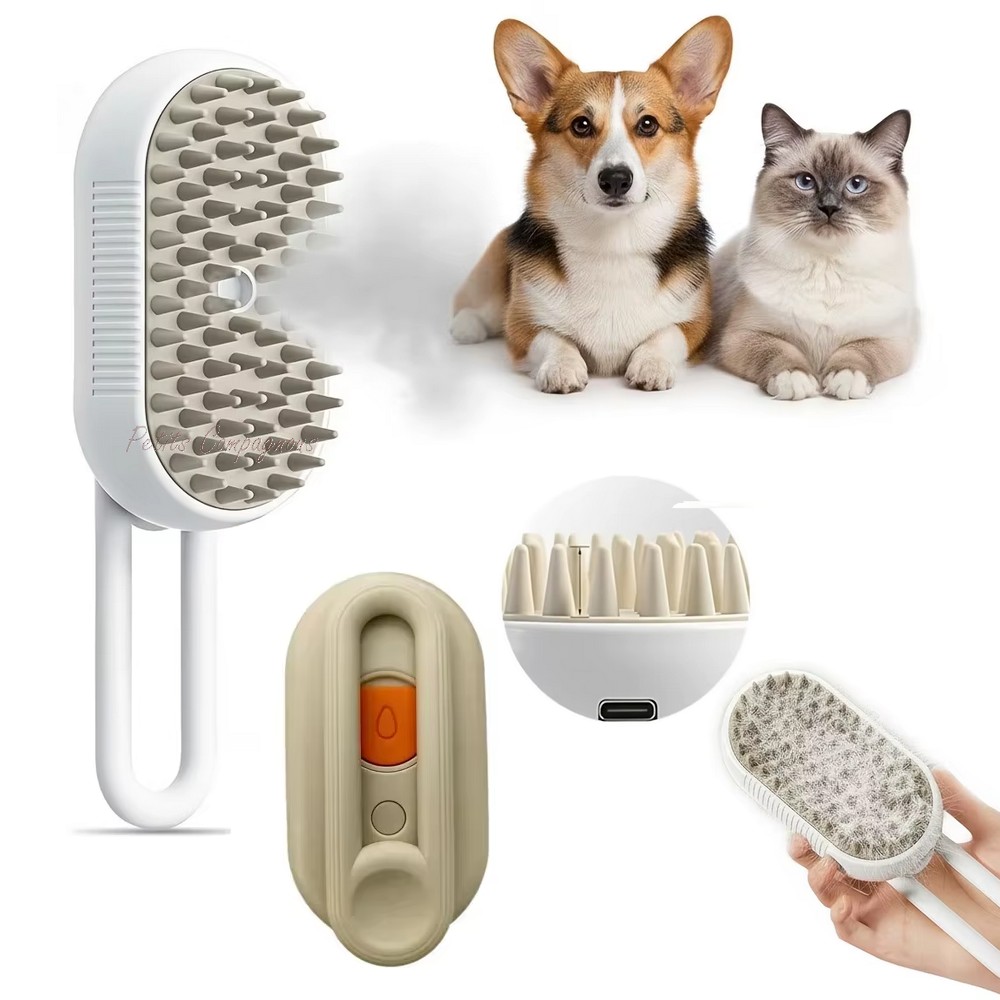 Brosse vapeur auto nettoyante