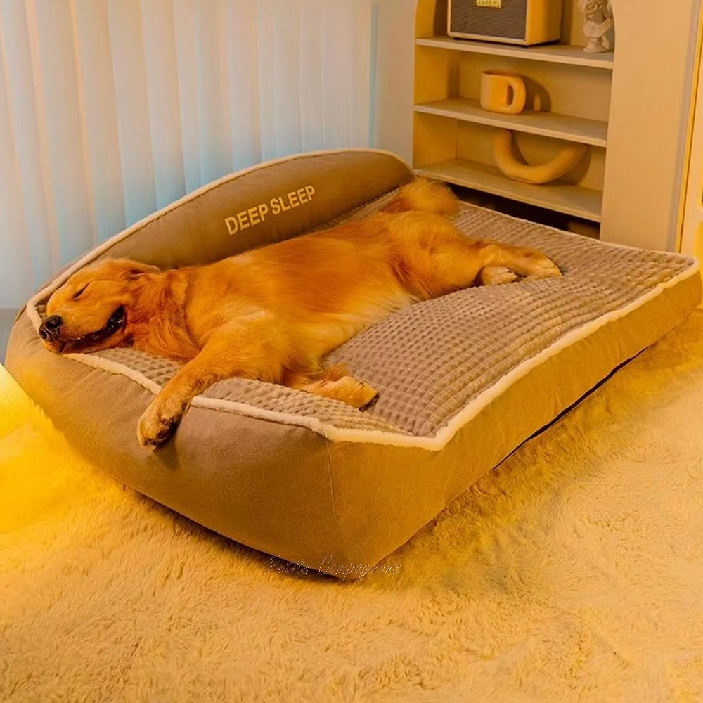 lit-grand-chien-hiver