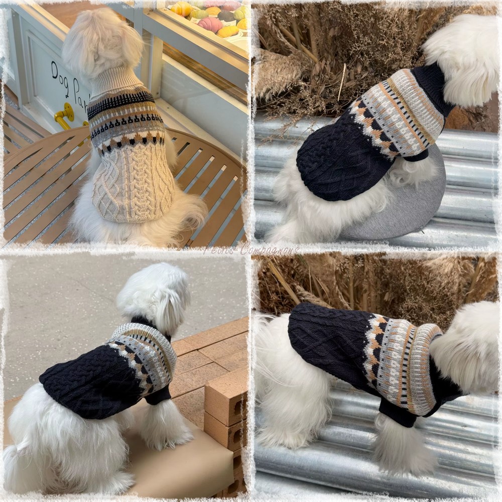 pull-col-roule-petit-chien