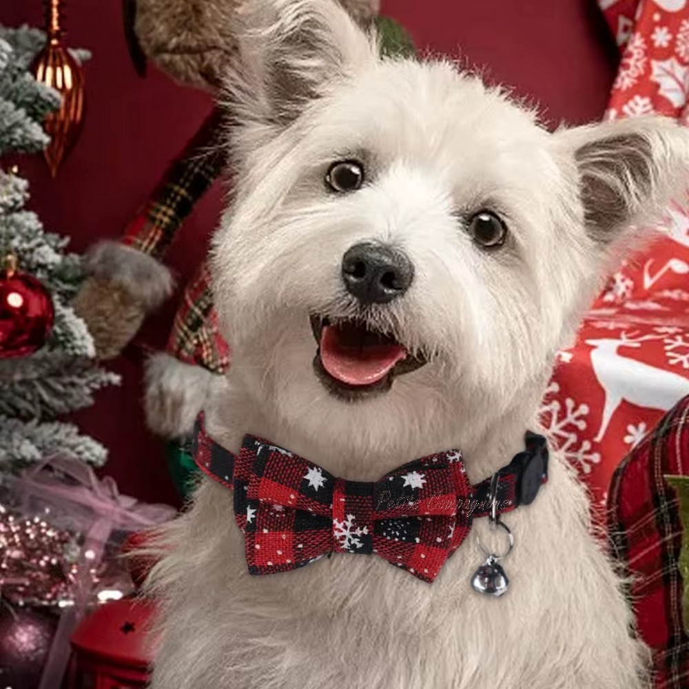 collier-noel-rouge-chien