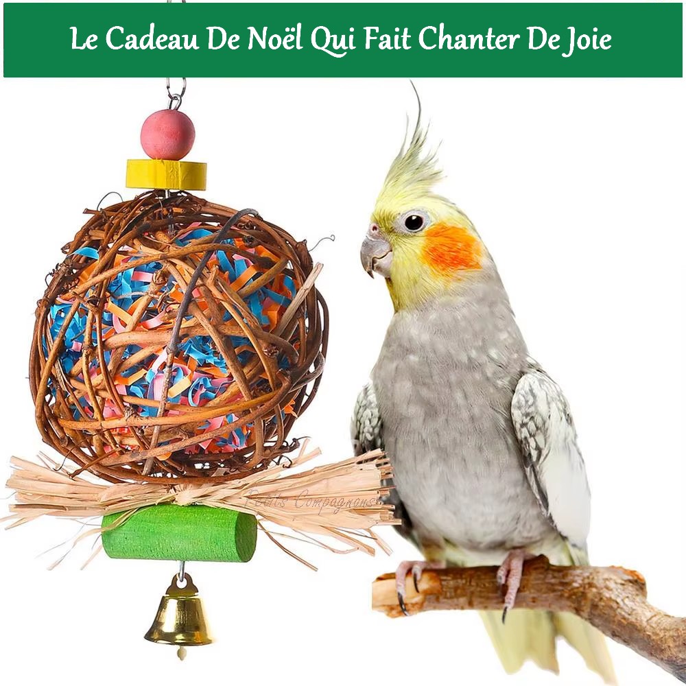 Suspension de Noël