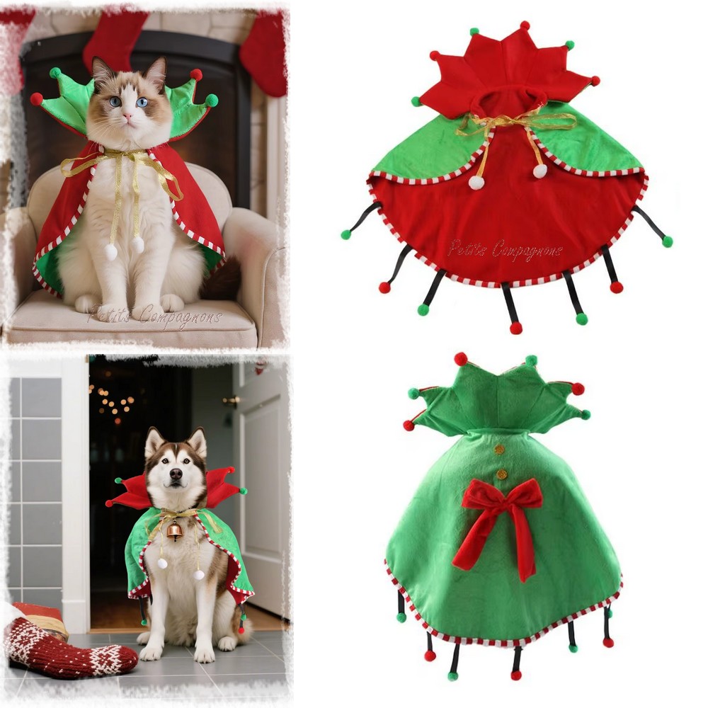 Costume lutin