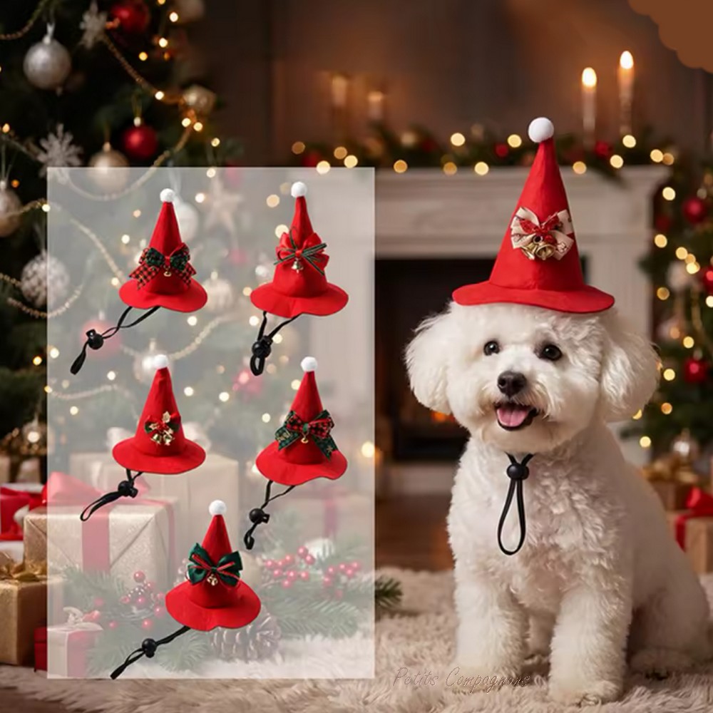Chapeau de Noël