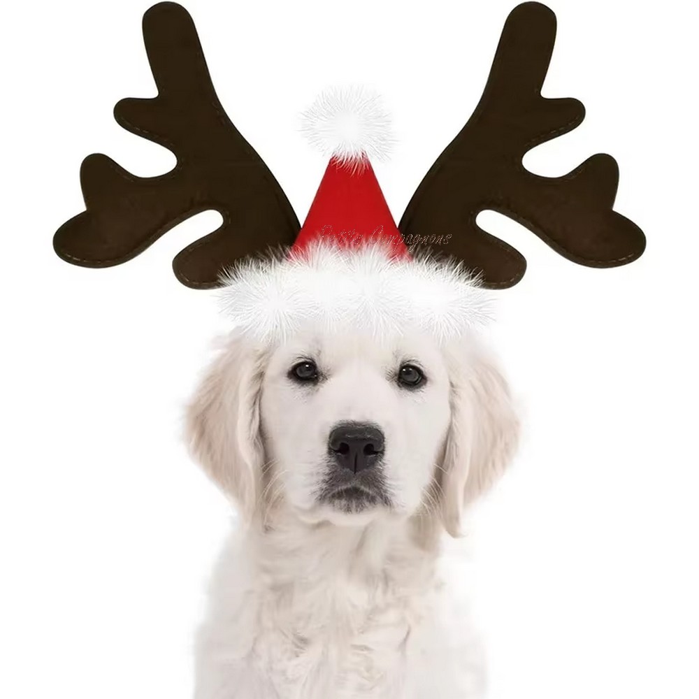 serre-tete-noel-chien-chat