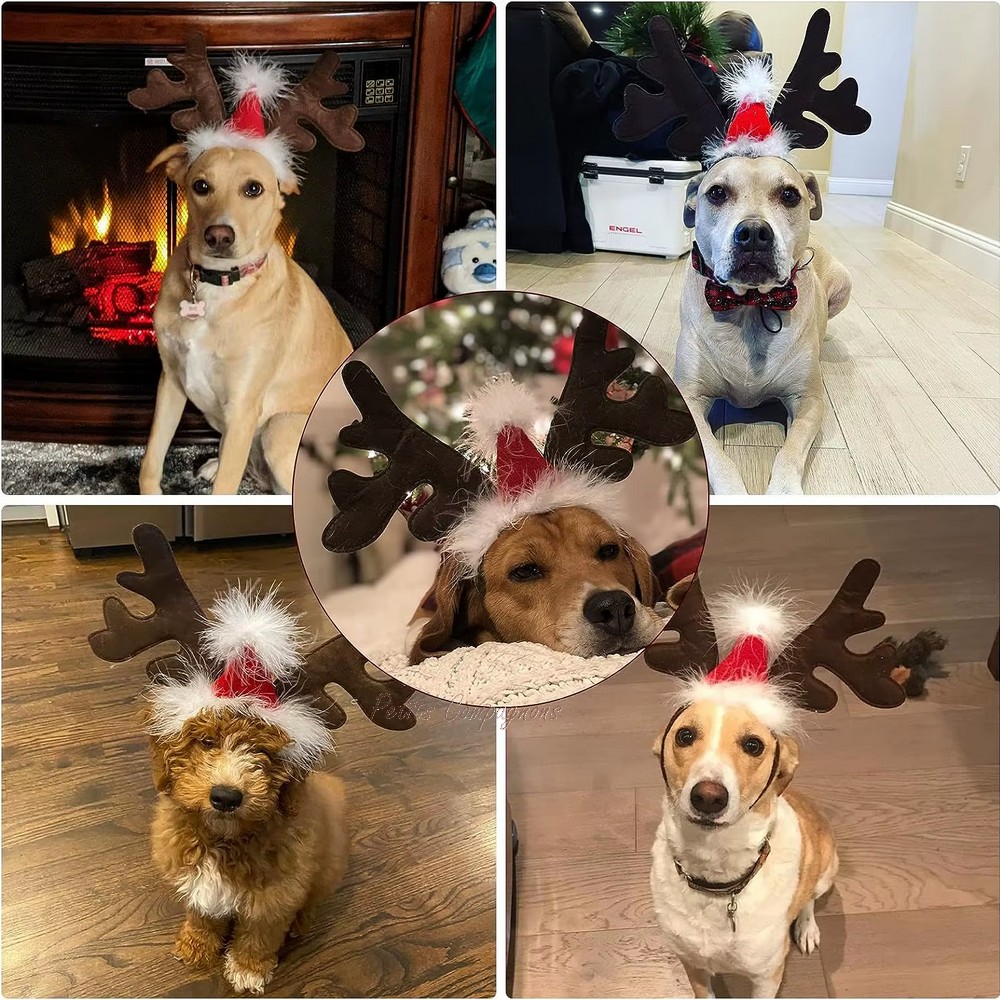 deguisement-renne-noel-animal