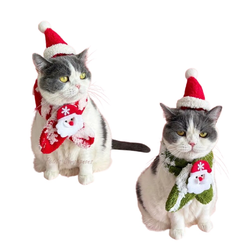 Déguisement de Noël