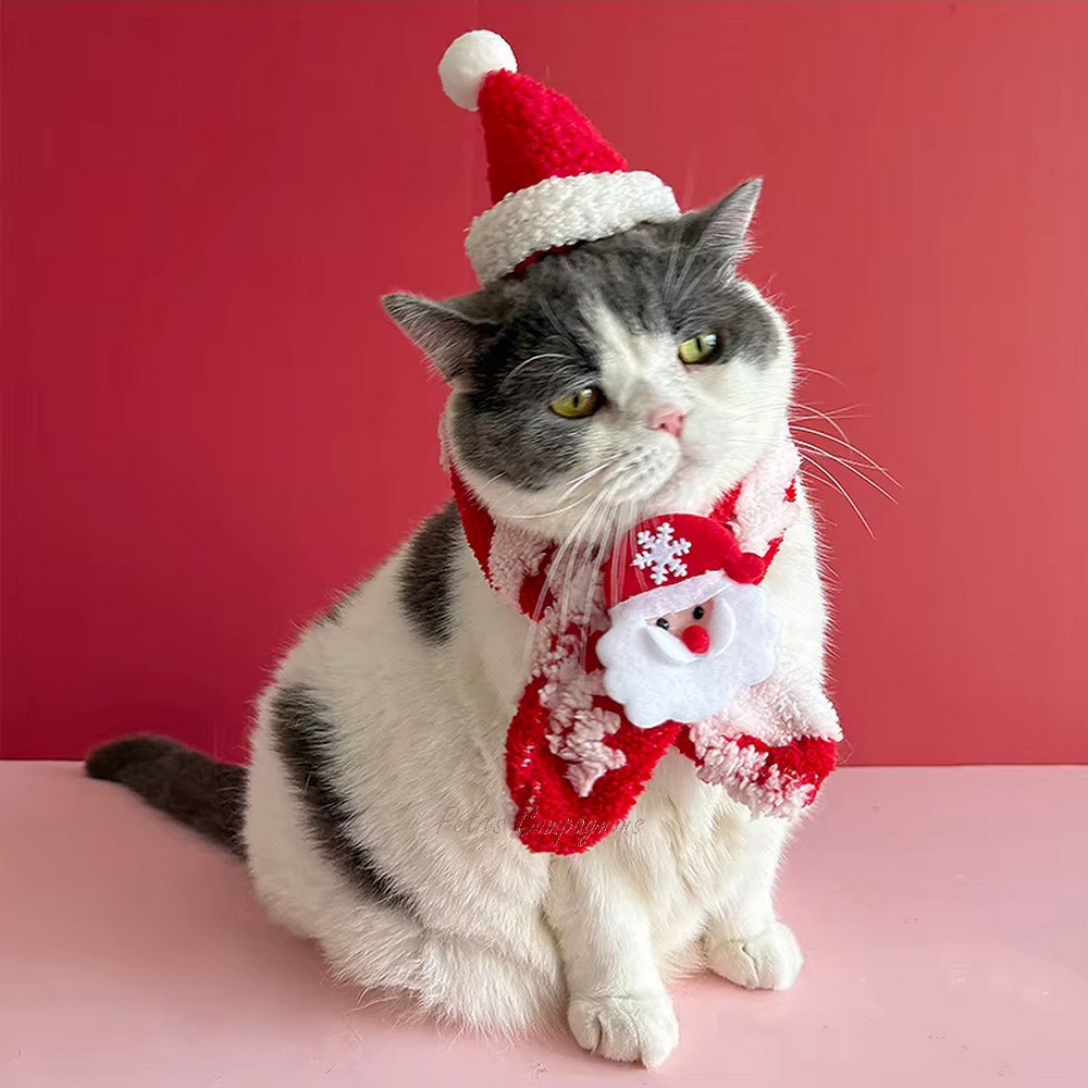 bonnet-et-echarpe-noel-animal