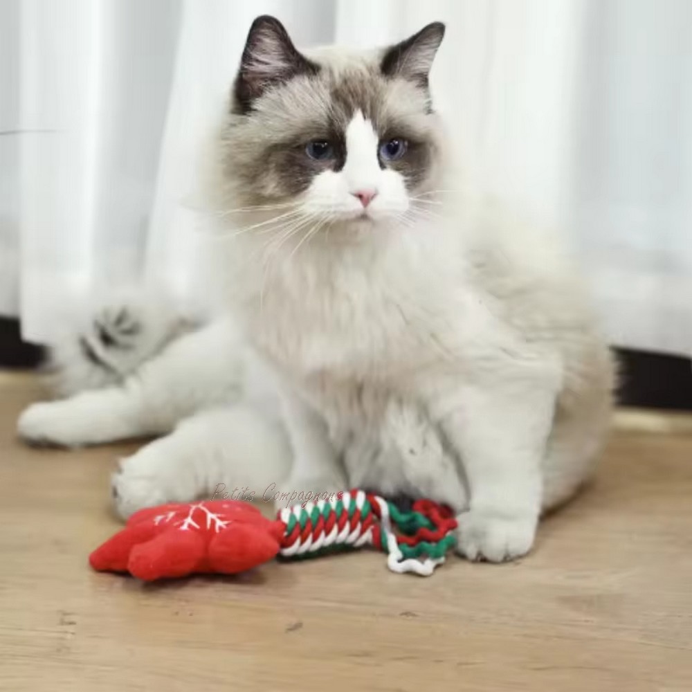 jouet-noel-avec-corde-pour-chat