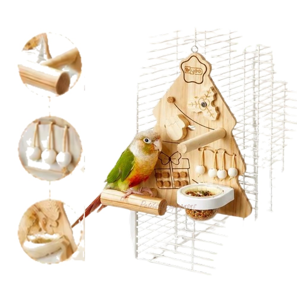 aire-de-jeux-oiseau-noel