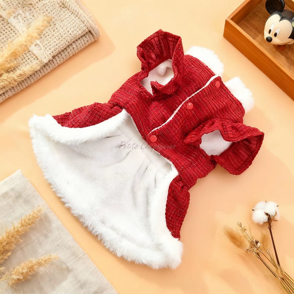 robe-chic-pour-chien