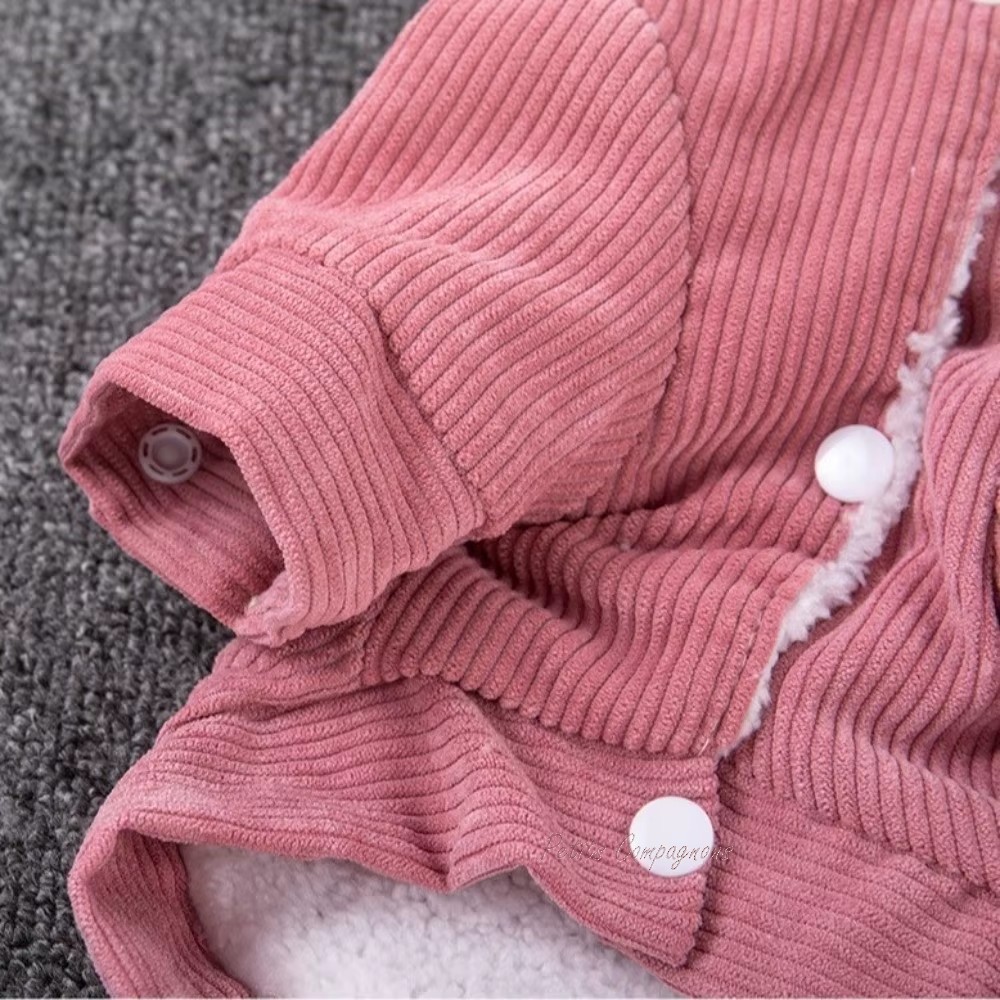 blouson-chaud-pour-chiot