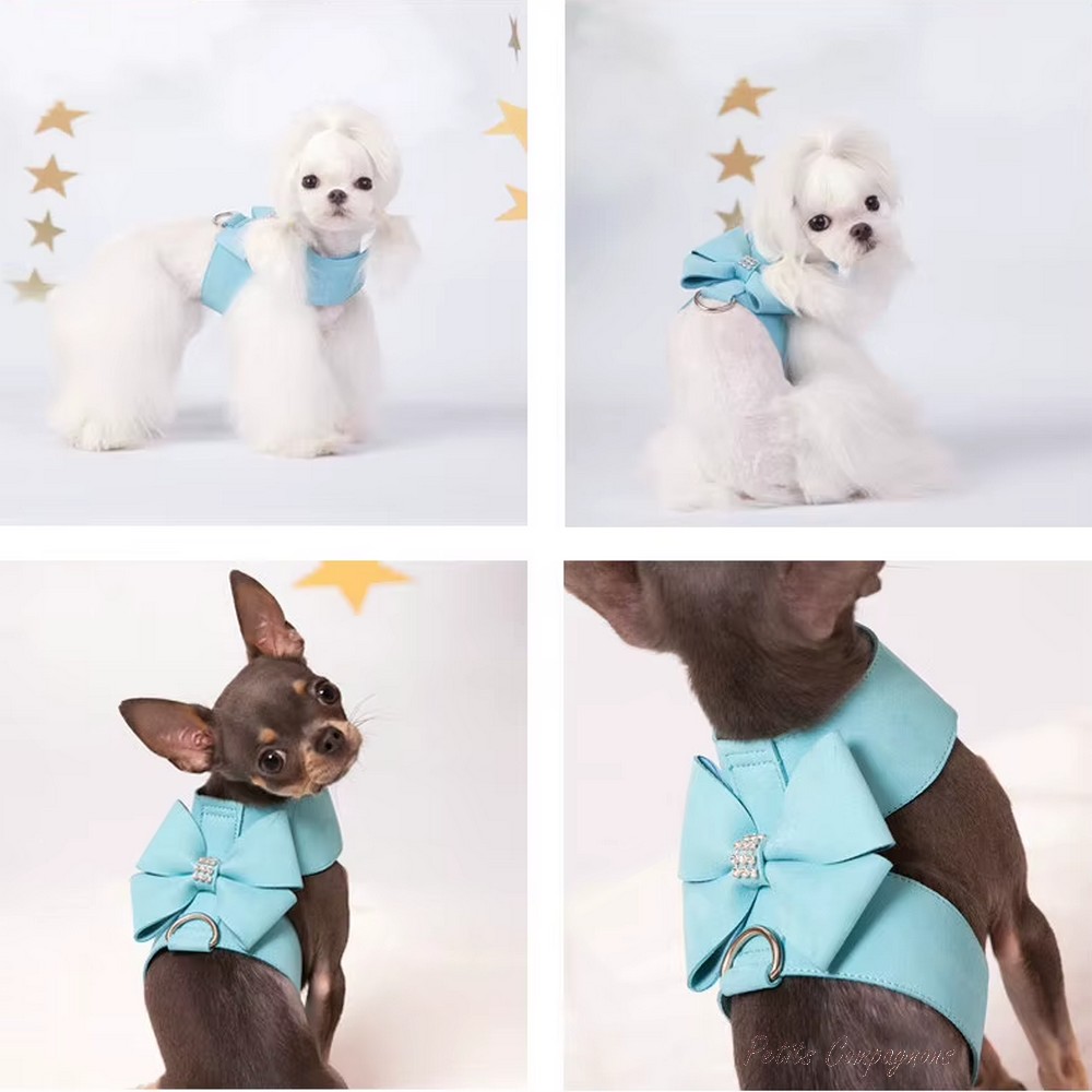 harnais-noeud-papillon-chat-chien