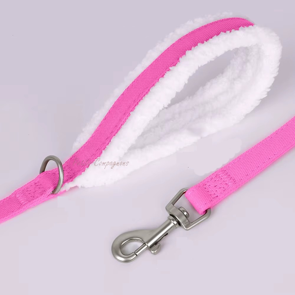 laisse-assortie-pour-animal