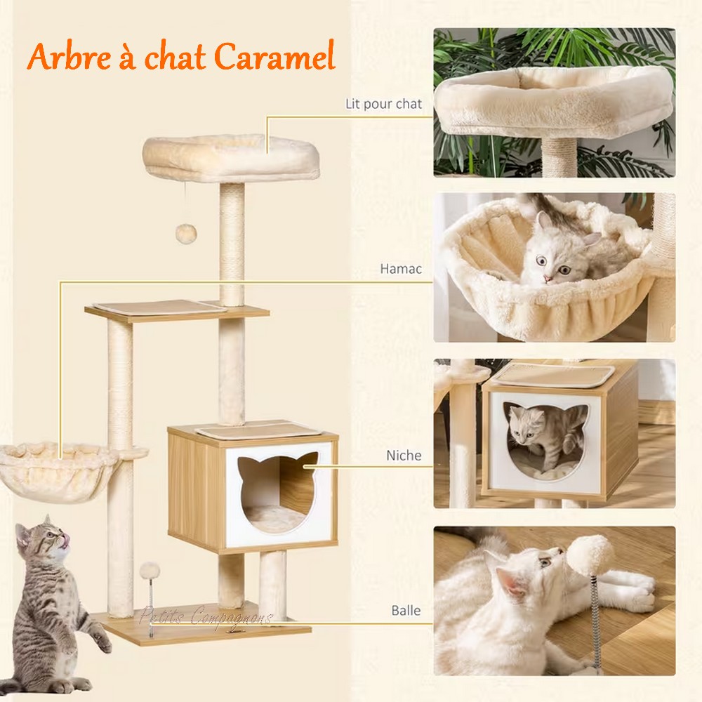 arbre-a-chat-multi-activites